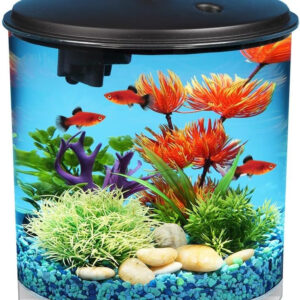 A Koller Products AquaView 2-Gallon Plastic 360 Aquarium with Power Filter & LED Lighting for Tropical Fish - Betta Fish with plants in it.