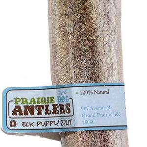 A Prairie Dog Antler with a label on it.