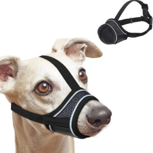 A dog wearing a Breathable and Adjustable Dog Muzzle - Black, Size Small.