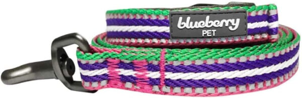 The Blueberry Pet 3M Reflective Multi-Colored Stripe Dog Leash - Soft & Comfortable Handle, 5 ft x 3/4", Olive & Blue-Gray, Medium has a purple, pink and green stripe.