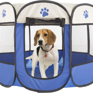 A beagle dog in a blue Pop-Up Pet Playpen - Portable Pet Enclosure for Dogs, Cats, and Other Small Animals by PETMAKER.