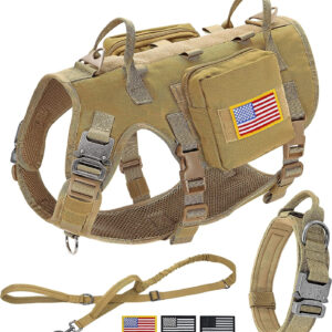 A Forestpaw Tactical Vest Harness and Easy Control Training Collar with Bungee Leash Set, perfect for medium to large dogs.