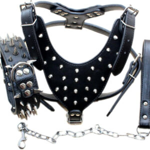 A black Leather Sharp Spiked Studded Dog Collars, Harnesses & Chain Leashes 3Pcs Matching Set for medium & large dogs.