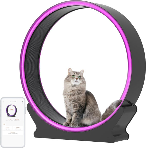 A cat sitting in a circle with a purple light.