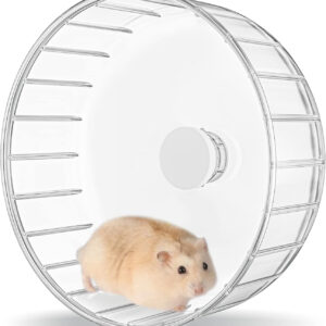 A hamster in a BUCATSTATE Hamster Wheel Silent - Basic Quiet Spinner for Small Rodents on a white background.