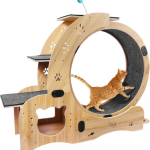 A cat is playing on a Cat Exercise Wheel Exerciser - Large Treadmill for Indoor Cats.