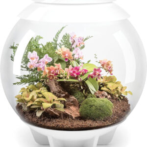 A biOrb AIR 60 LED Terrarium - 16 gallon, white (46147)filled with a variety of plants and flowers.