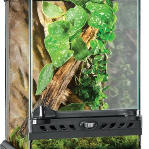 A Exo Terra Glass Natural Terrarium Kit - Ideal Habitat for Reptiles and Amphibians - Nano Tall, 8 x 8 x 12 inches with a tree branch and leaves, ideal for reptiles and amphibians.