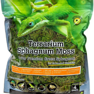 A bag of Galápagos Terrarium Green Sphagnum Moss, perfect for Galápagos terrariums.