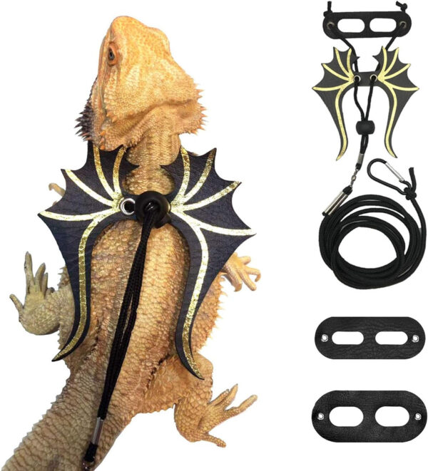 A lizard in an ADOGGYGO Bearded Dragon Lizard Leash Harness - Dinosaur Wing Lizard Harness Leash for Bearded Dragon Lizard Reptiles (3 Size Pack) garment.